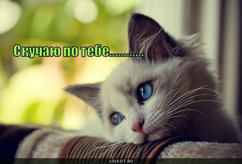 Любовь Харчевникова | Ярославль