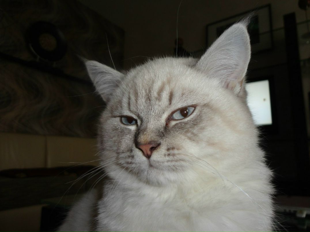 Татьяна Шилович | Минск