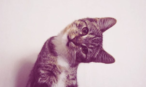 Саша Лебедева *Ли.Са.* | Королёв