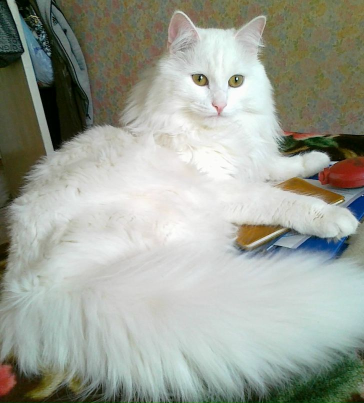 Лена Чуркаева | Пермь