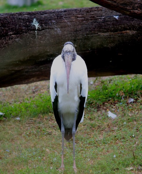 Andrey Fofanov | Кривой Рог