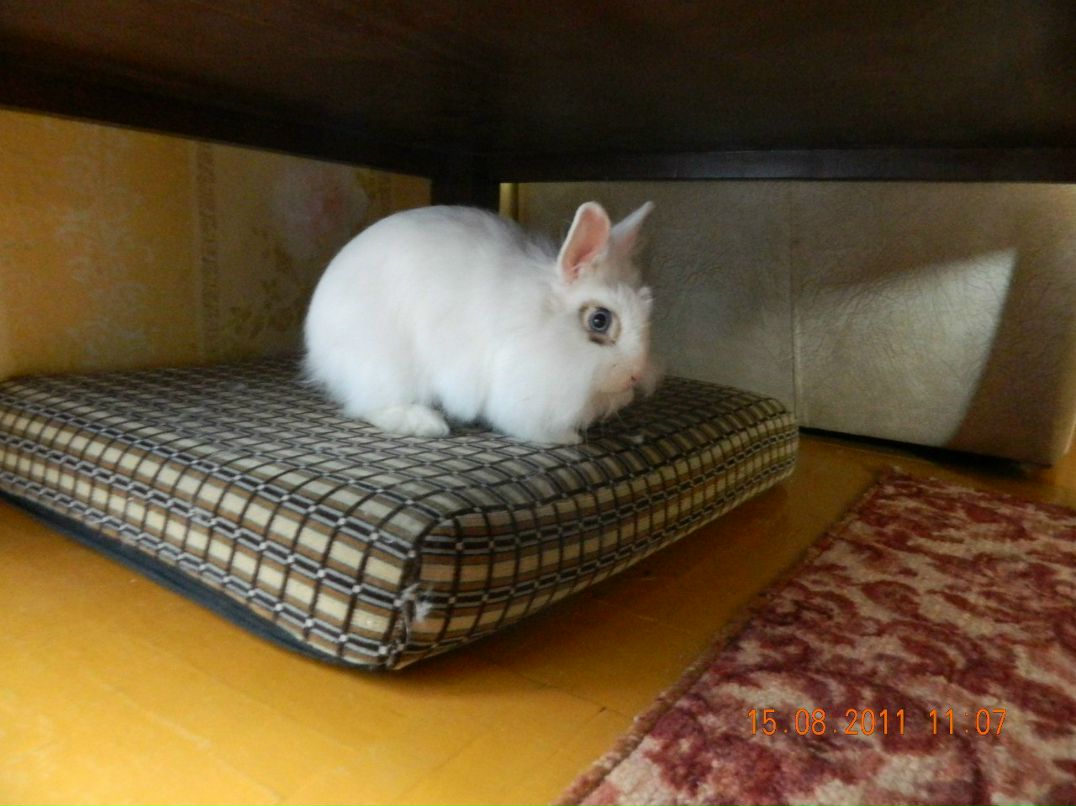 Евгений Мельниченко W | Челябинск