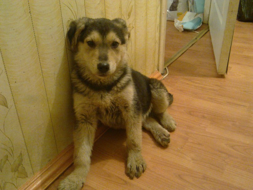 Екатерина Корнилова | Екатеринбург