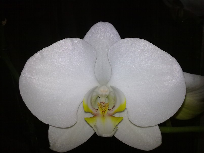 Ирина Самохова | Казань