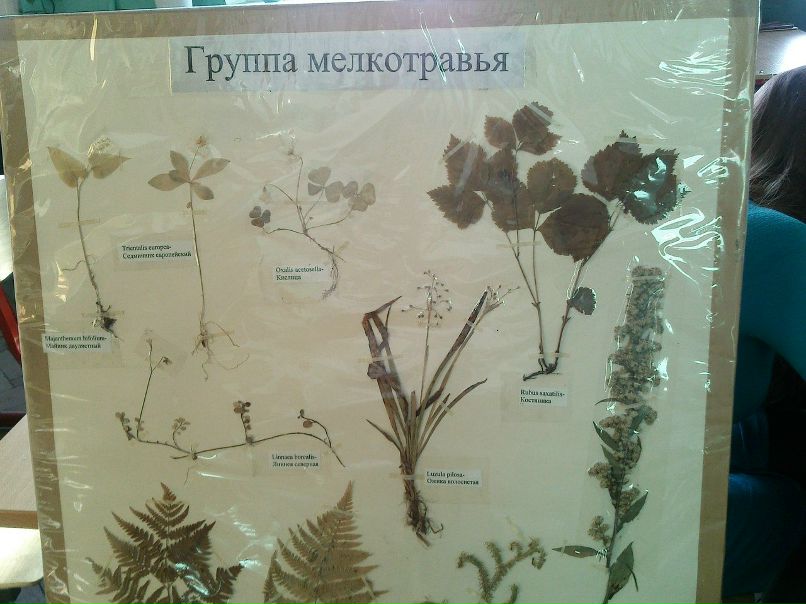 Мария Язовских | 