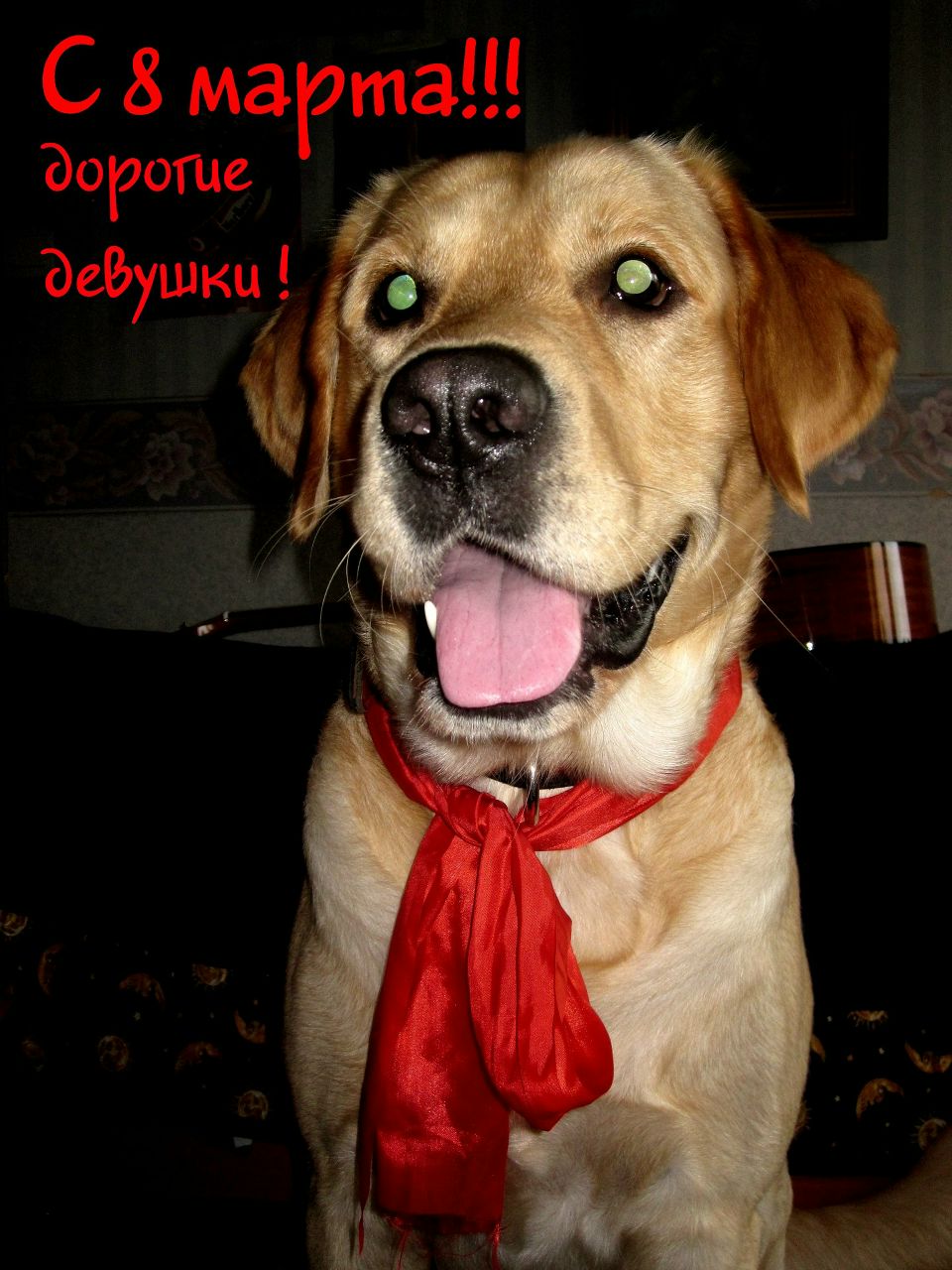 Павел Охрименко | Клайпеда