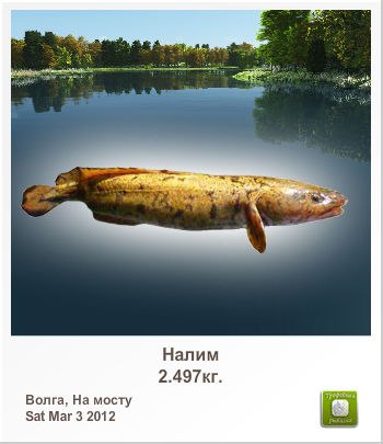 Юлий Павлов | Санкт-Петербург