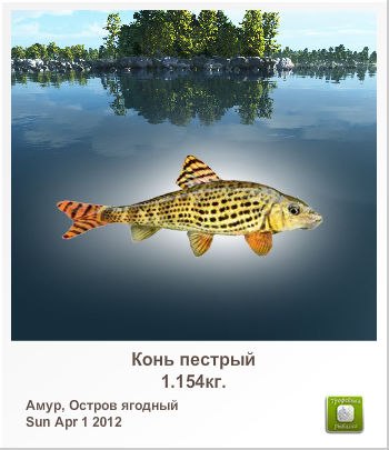 Алексей Сыромятников | Колпино