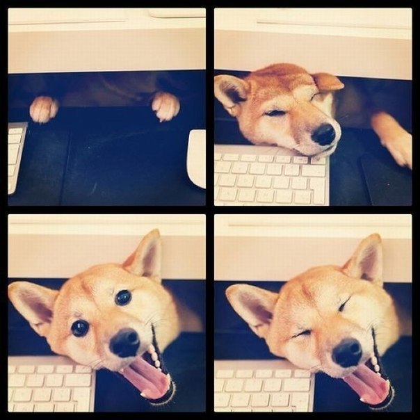 Анатолий Кириченко | Новосибирск