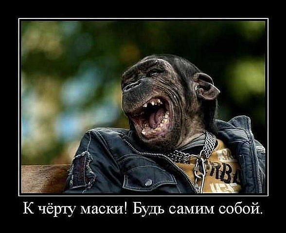Александр Жидков | Москва