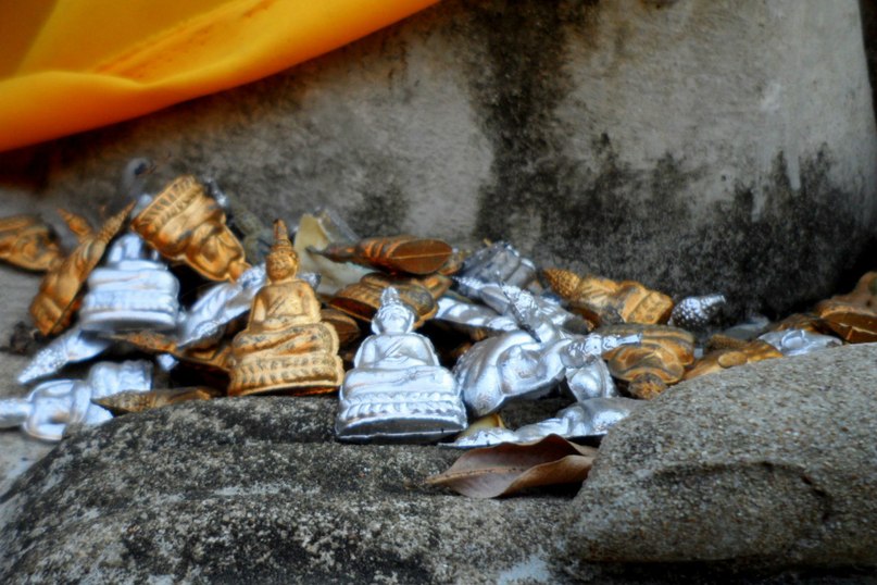 Виктория Носаченко | Москва