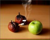 №12, Виталий Частило, 3.3.1987, 39 лет, Санкт-Петербург, Россия