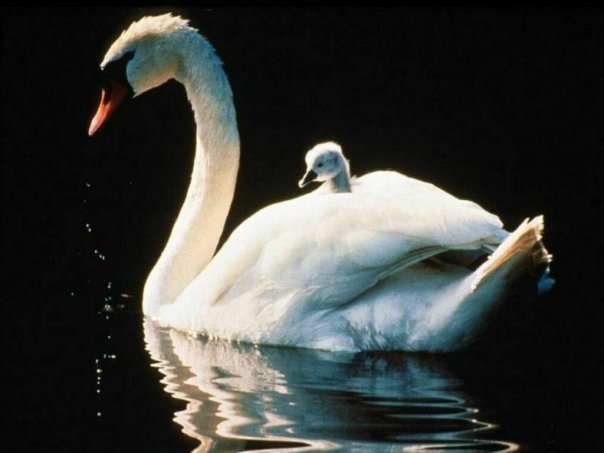 №34, Наталия Шишигина, Якутск №34, Наталия Шишигина, Якутск