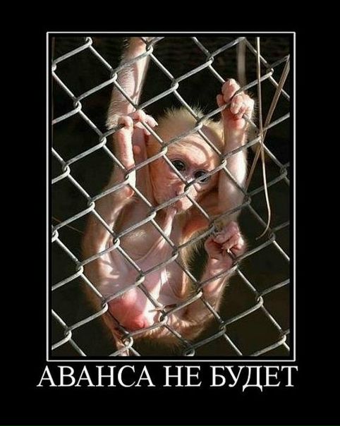 №42, Кирилл Битов, 109 лет, Москва №42, Кирилл Битов, 109 лет, Москва