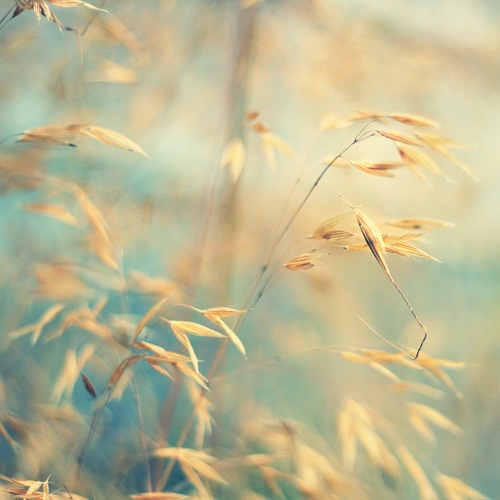 №5, Любовь Макарова, Ярославль №5, Любовь Макарова, Ярославль