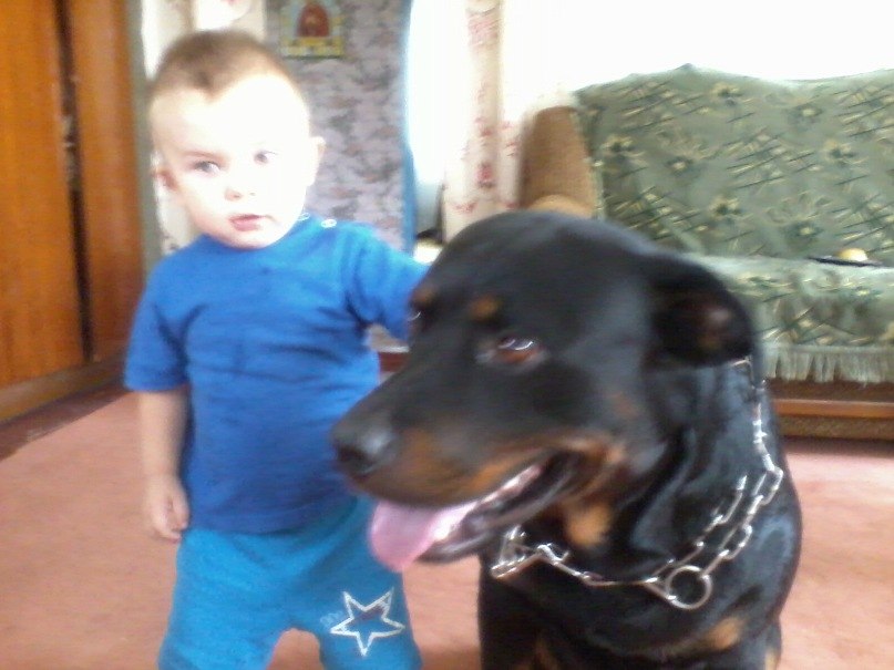 Александра Афанасьева | Бахмач