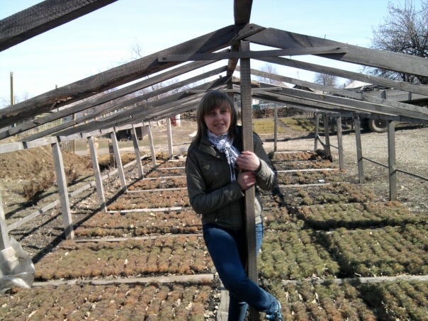 №2, Анна Мишина №2, Анна Мишина