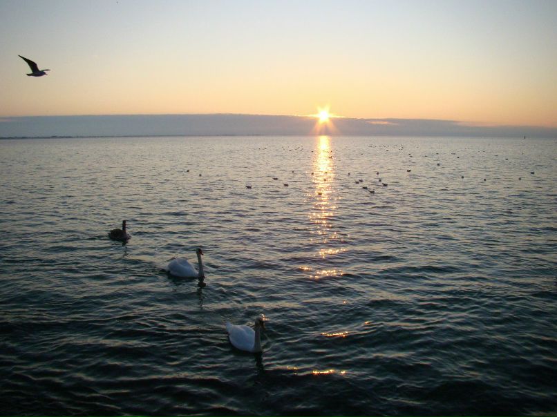 Наталья Мискевич | Евпатория