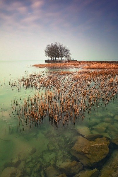 Алина Богданова | 