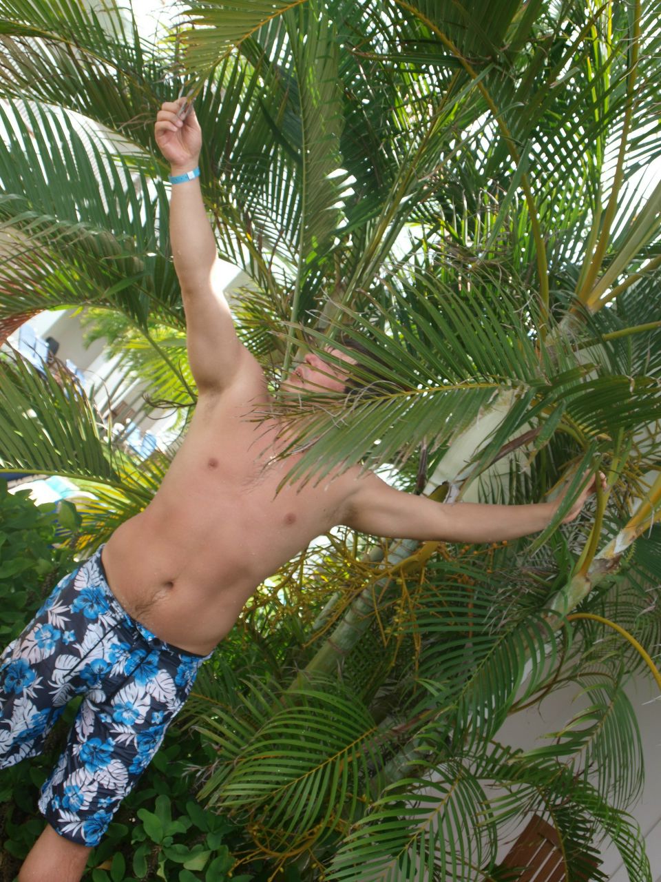 Александр Клюев | Сергиев Посад