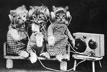 №155, Yulianna Aleksandrova №155, Yulianna Aleksandrova