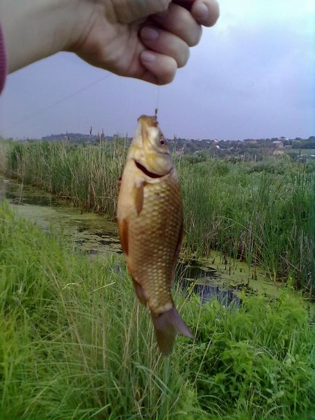 №48, Екатерина Черныш, Ростов-на-Дону №48, Екатерина Черныш, Ростов-на-Дону