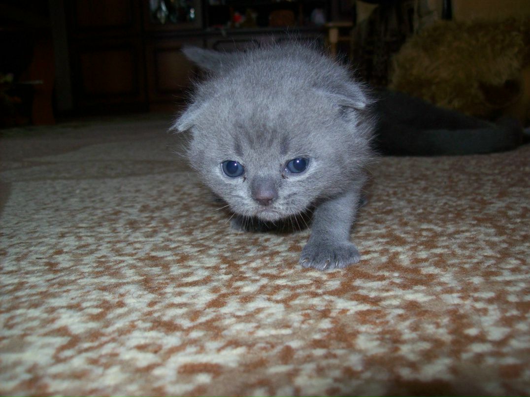 Анжела Краснова | Новочебоксарск