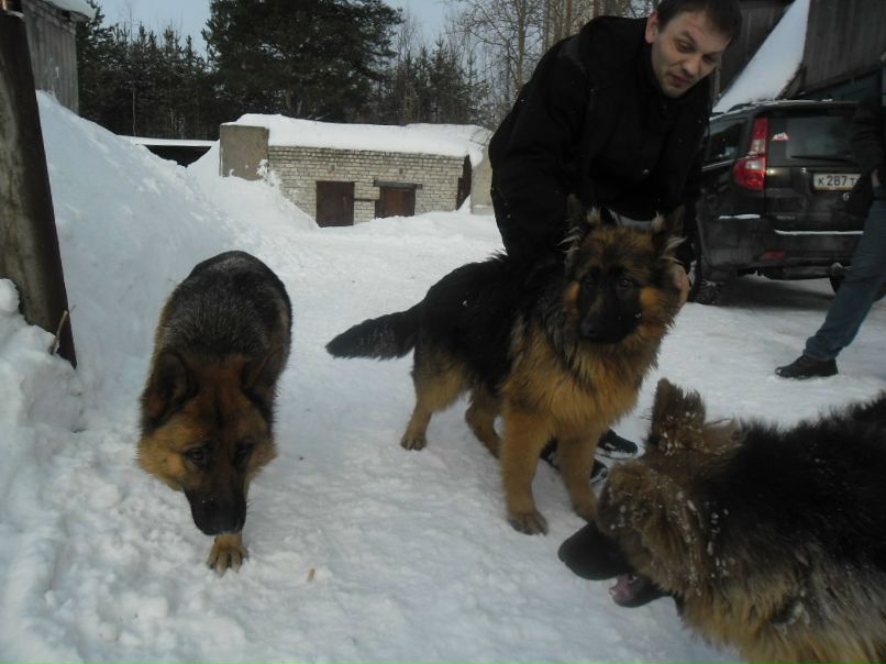 Виктор Конюхов | Питкяранта