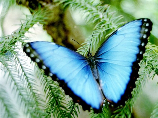 Ольга Огорелкова | Москва