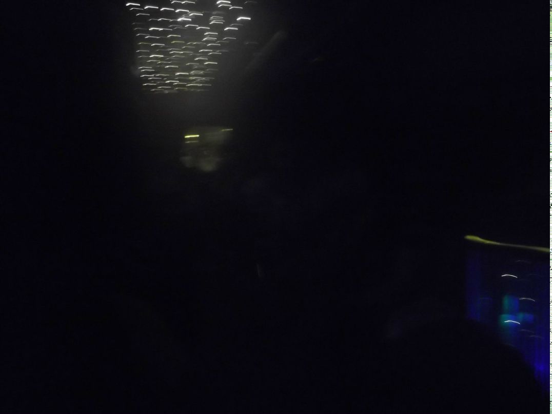 Артем Королев | Всеволожск