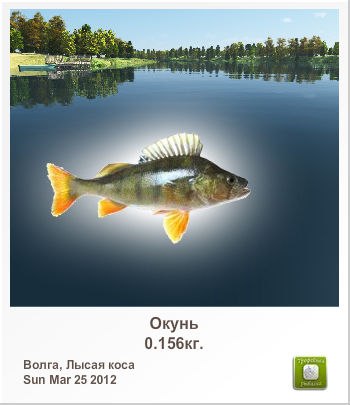 Людмила Морозова | 