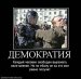 Кирилл Шиб фотография #22