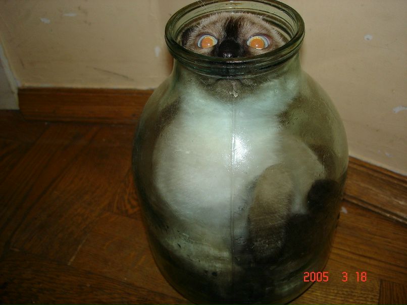 Настя Шарова | Москва