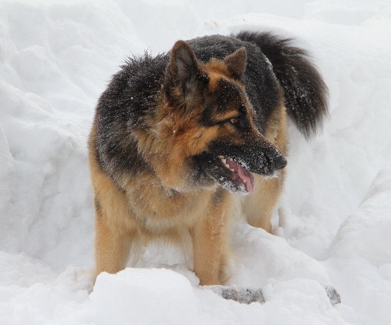Виктор Кольцов | Санкт-Петербург