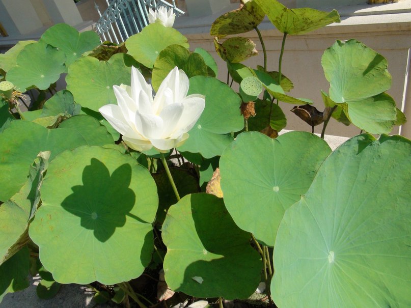 Константин Добычин | Ангарск