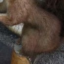 №18, Вітя Глушук, Луцк №18, Вітя Глушук, Луцк