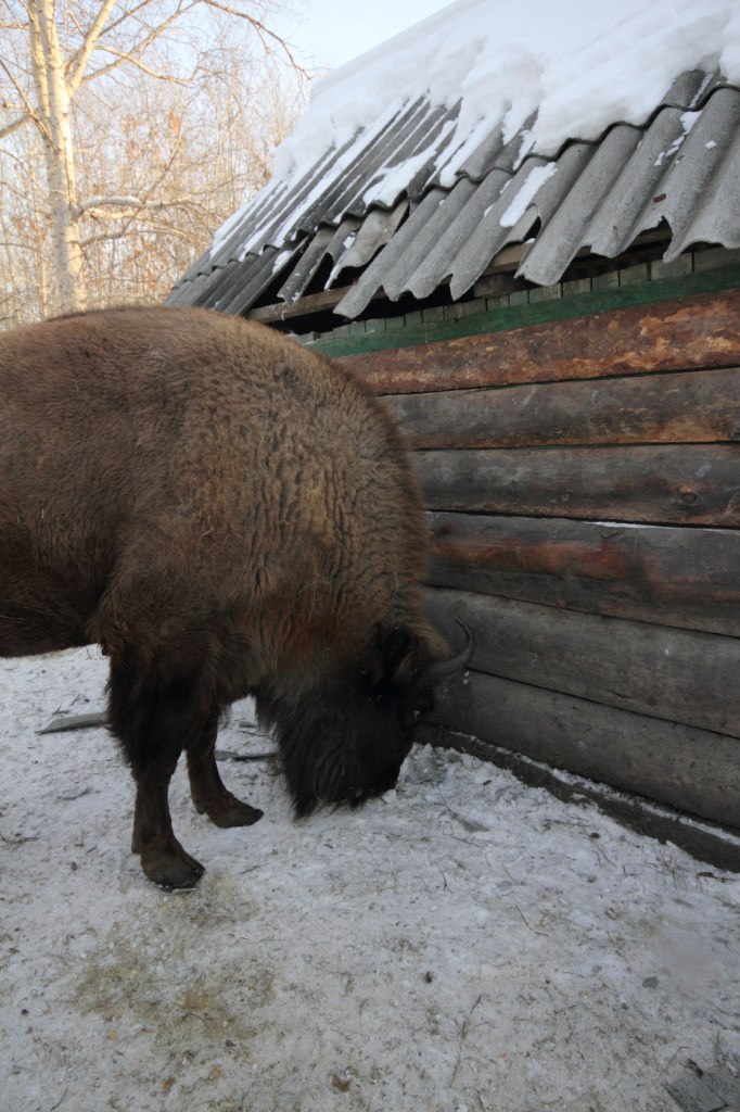 Виктор Курагин | Омск