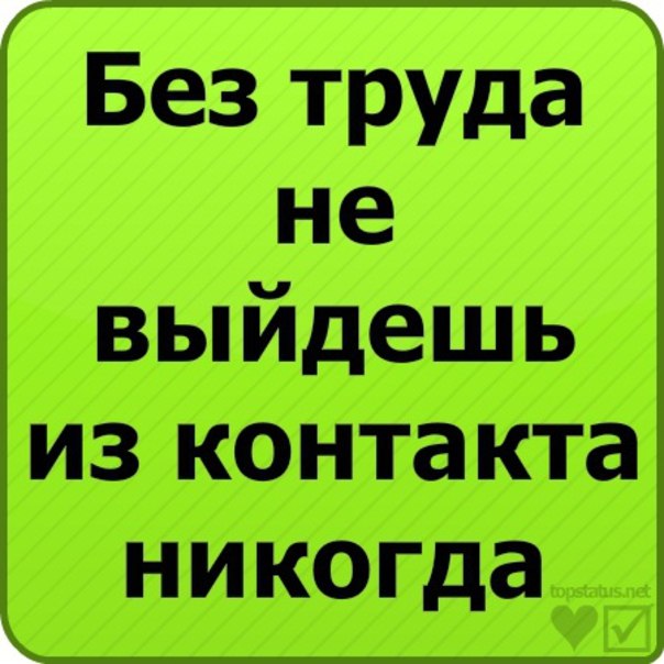Анастасия Кравчук (котик) | Житомир