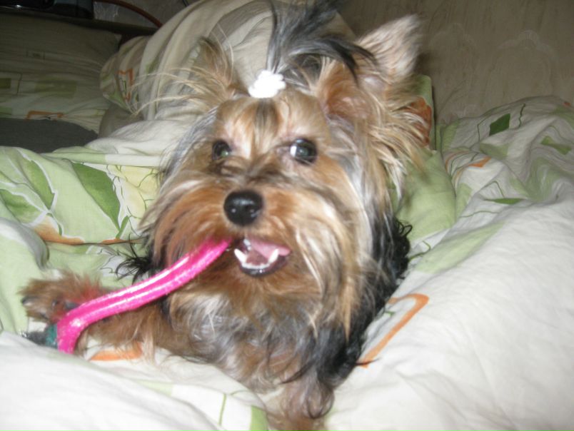 №44, Ira Sorokina, Одесса №44, Ira Sorokina, Одесса