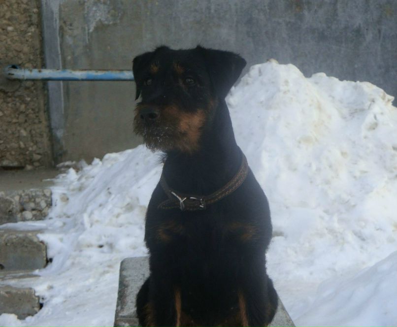 Наталья Балакирева | Радужный