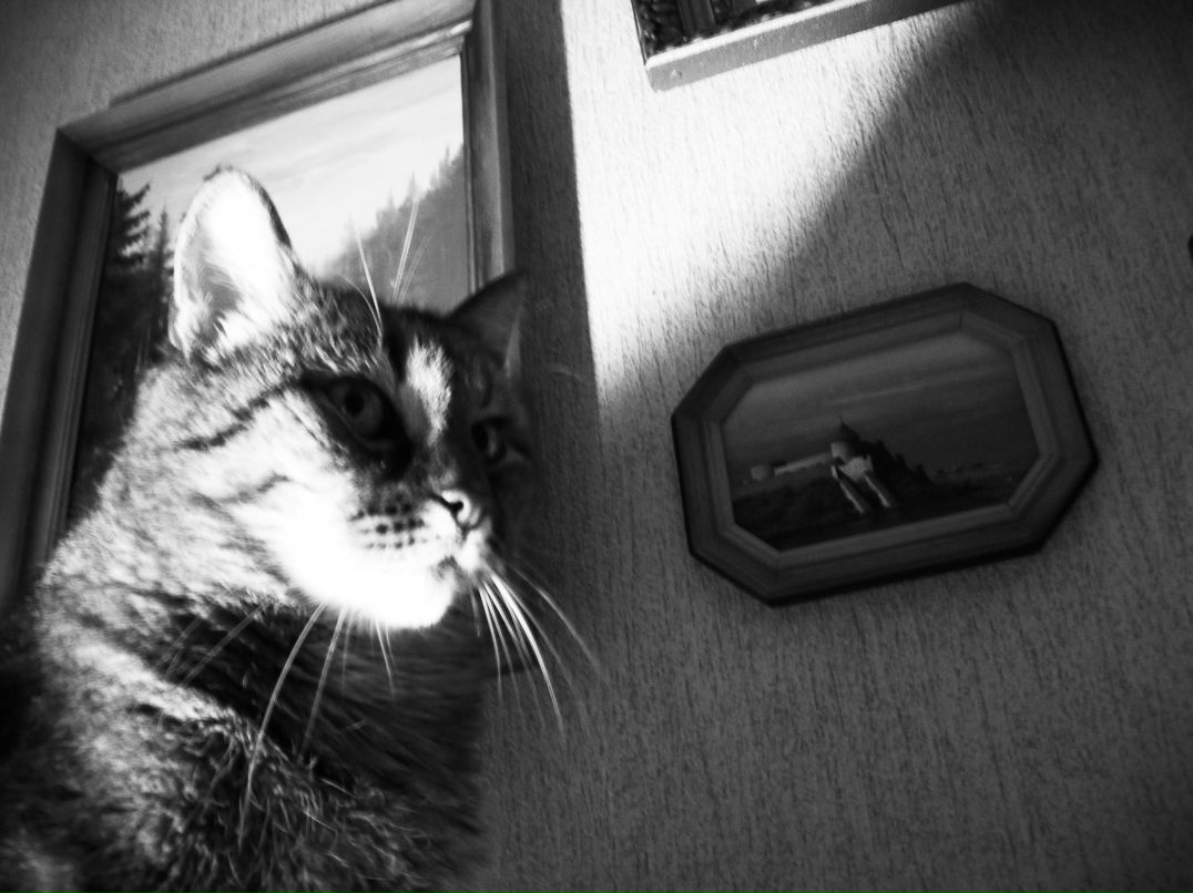 Ангелина Ершова | Минск