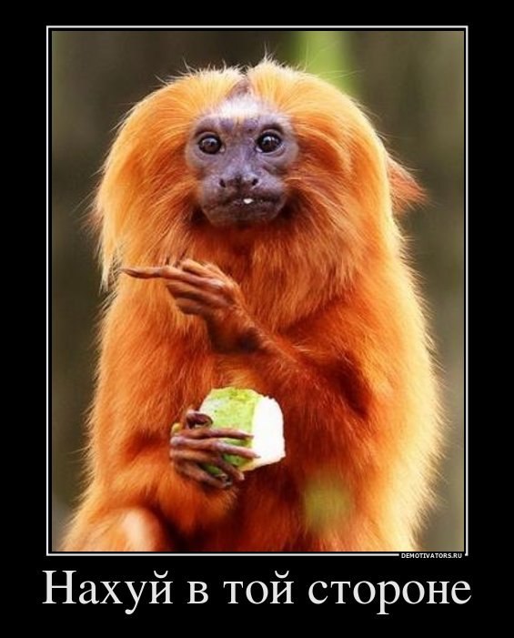 Олег Мишин Made In Ukraine | Саксагань