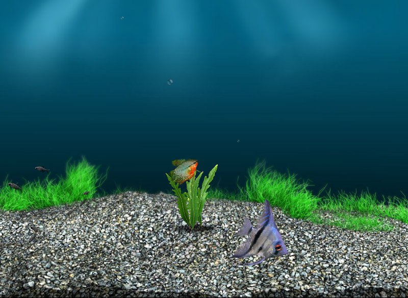 Наталия Скрицкая | Пулины / Червоноармейск