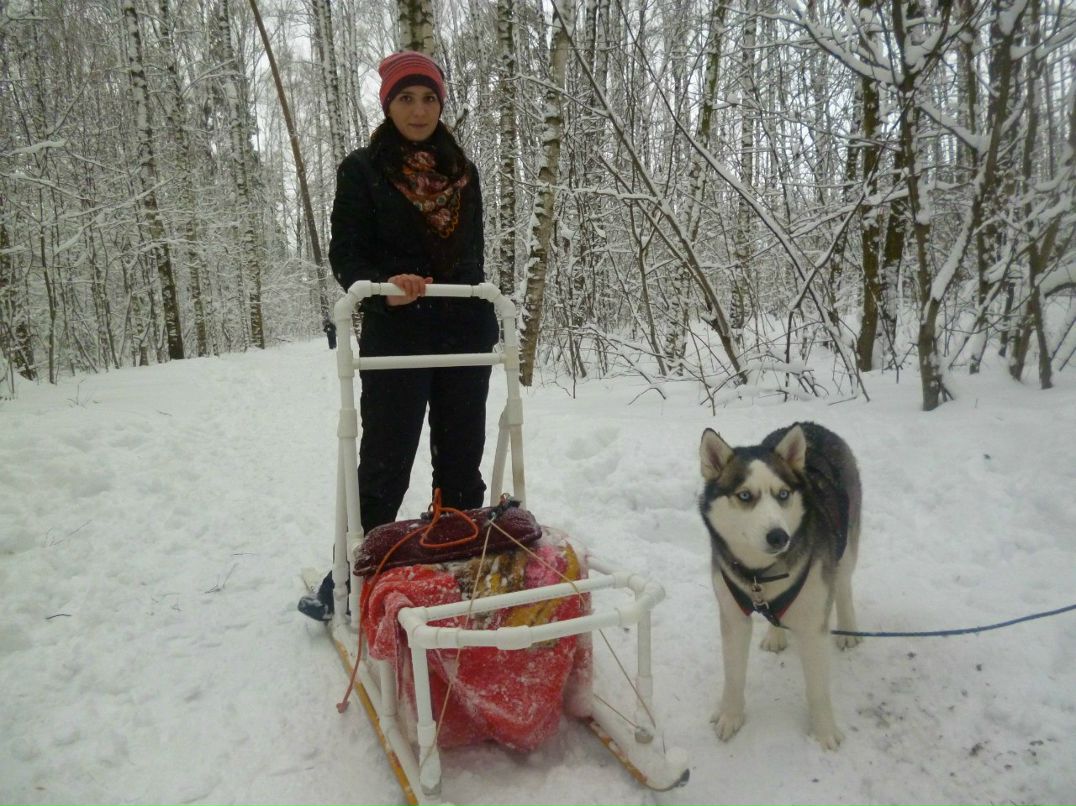 Анна Романенкова | Ногинск