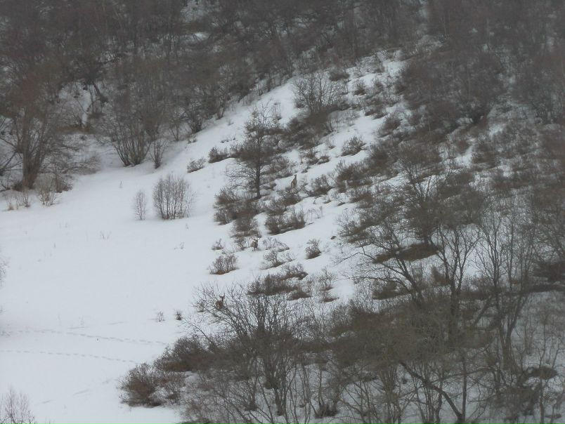 №17, Ильнур Сафин, Турналы, Россия №17, Ильнур Сафин, Турналы, Россия