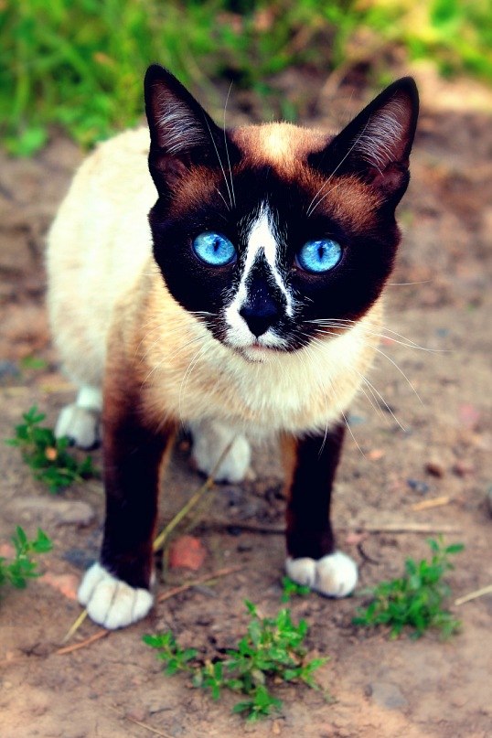 Света Александрова | Калтан