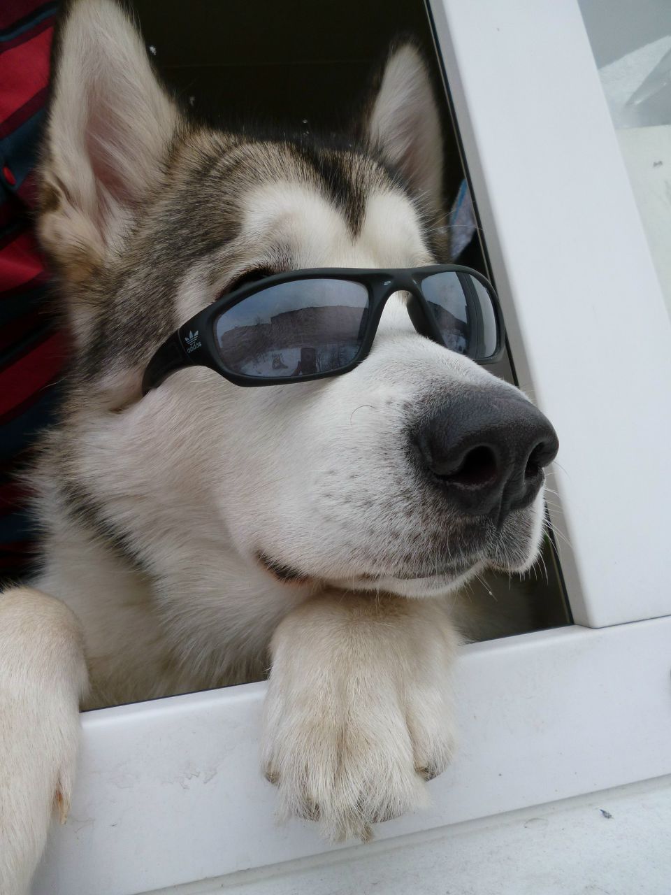 Максим Хорохорин | Санкт-Петербург