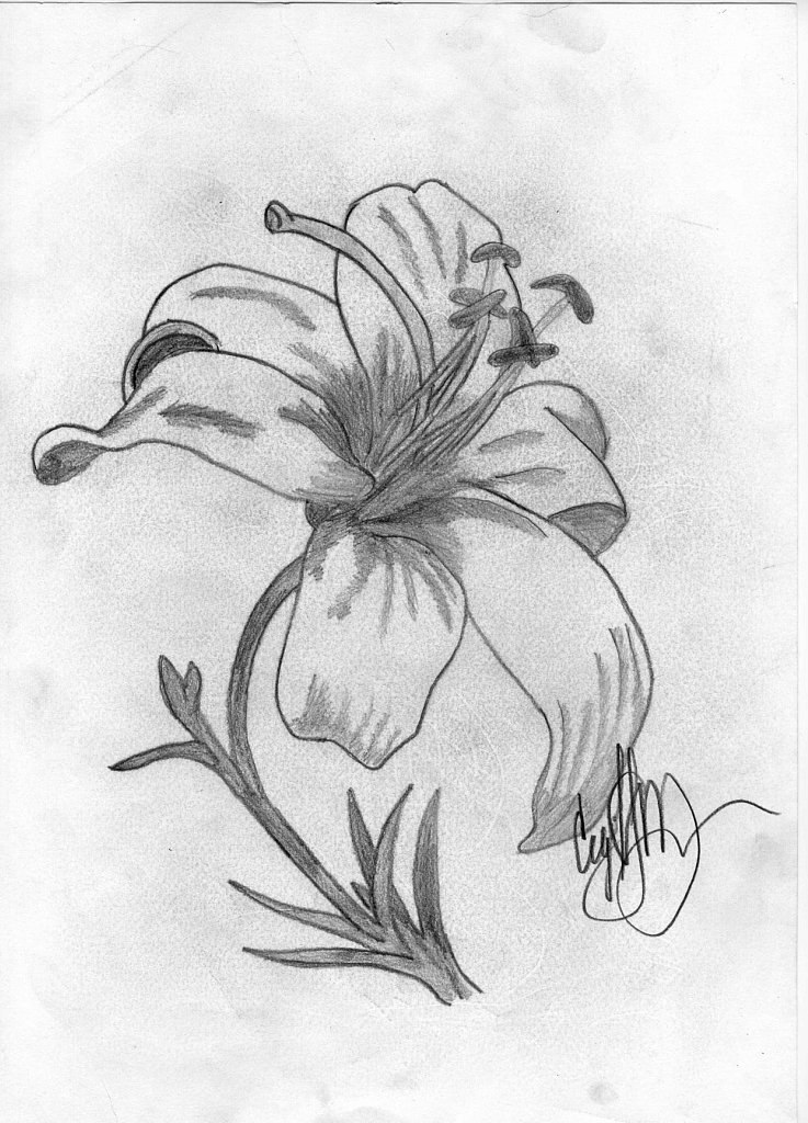 Лилия Молотилова Котёнок | Москва