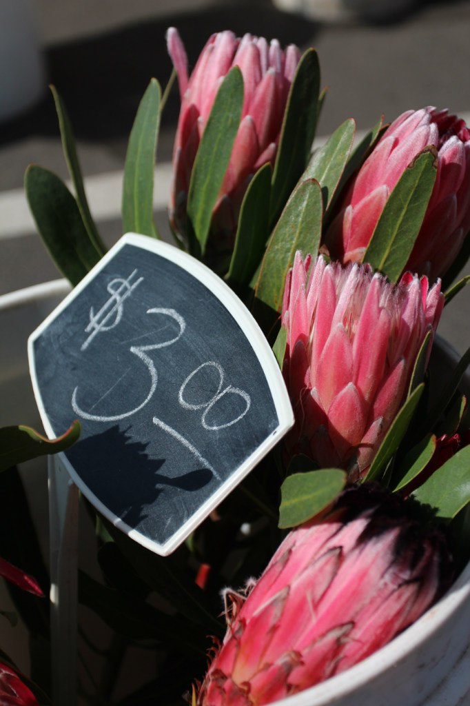 Ольга Власенко | Aachen