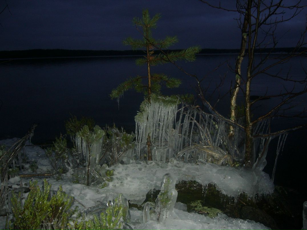 Олег Янченков | 